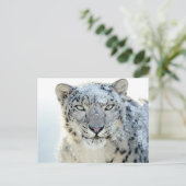 Briefkaart- Sneeuwhoen Briefkaart (Staand voorkant)