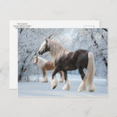 briefkaart "Sneeuwzigeuners" (Voorkant / Achterkant)