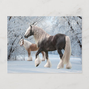 briefkaart "Sneeuwzigeuners"