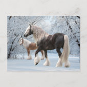 briefkaart "Sneeuwzigeuners" (Voorkant)