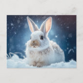 Briefkaart Snow Bunny (Voorkant)