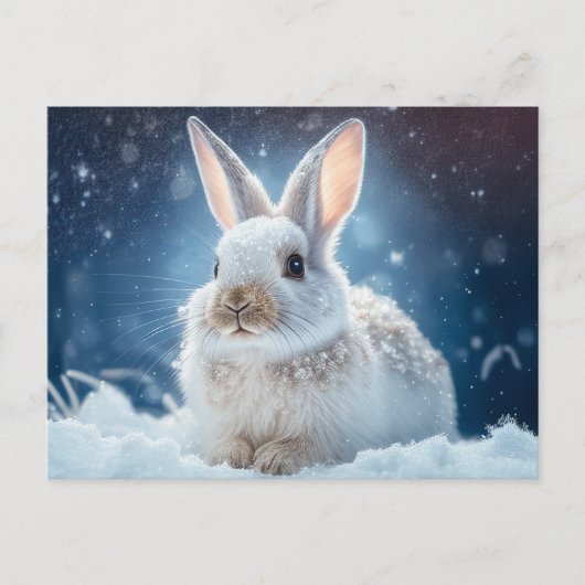 Briefkaart Snow Bunny (Voorkant)