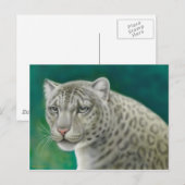 Briefkaart Snow Leopard (Voorkant / Achterkant)