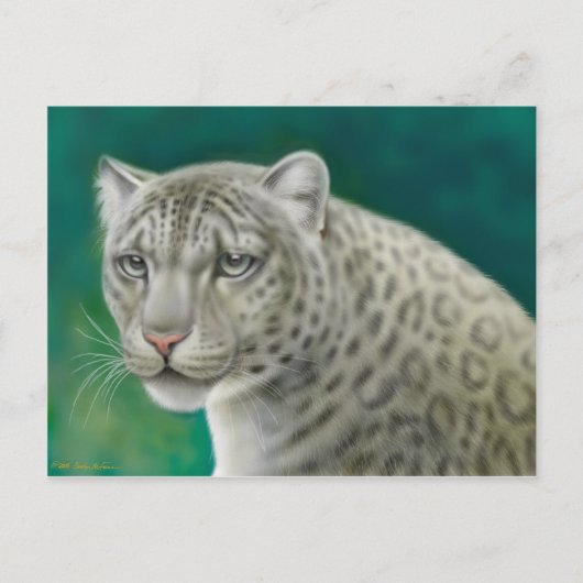 Briefkaart Snow Leopard (Voorkant)