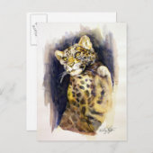 Briefkaart Snow Leopard (Voorkant / Achterkant)