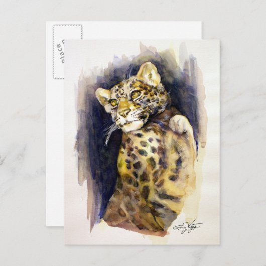 Briefkaart Snow Leopard (Voorkant / Achterkant)
