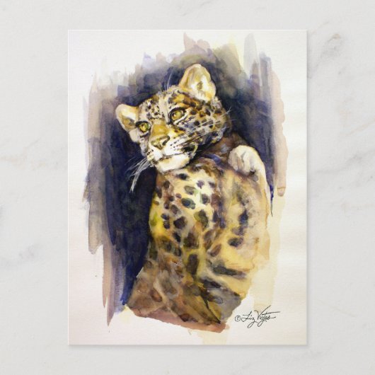 Briefkaart Snow Leopard (Voorkant)