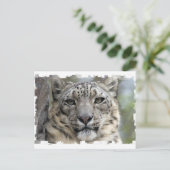 Briefkaart Snow Leopard (Staand voorkant)