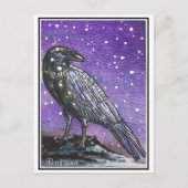 Briefkaart Snow Raven (Voorkant)
