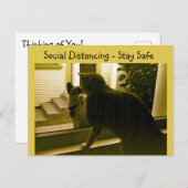 Briefkaart - Sociale vervormende katten (Voorkant / Achterkant)