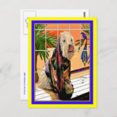 Briefkaart: Soft Coated Wheaten Terrier bij de Spa Briefkaart (Voorkant / Achterkant)