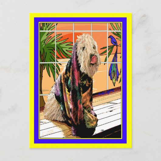 Briefkaart: Soft Coated Wheaten Terrier bij de Spa Briefkaart (Voorkant)