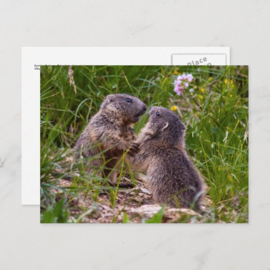 Briefkaart Sparing Partners (Voorkant / Achterkant)