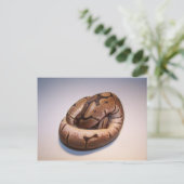 Briefkaart Spider Ball Python (Staand voorkant)