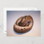 Briefkaart Spider Ball Python (Voorkant / Achterkant)