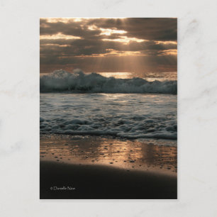 Briefkaart_splash Briefkaart