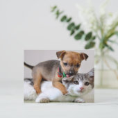 Briefkaart - Spoeltijd! (Staand voorkant)