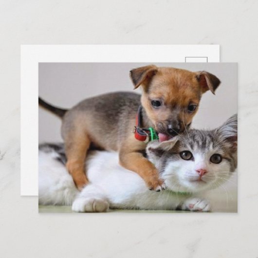 Briefkaart - Spoeltijd! (Voorkant / Achterkant)