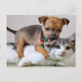 Briefkaart - Spoeltijd! (Voorkant)