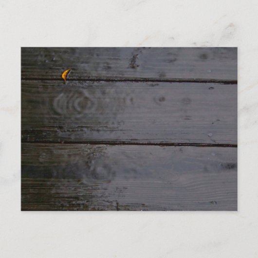 briefkaart "Spot of Color" (Voorkant)