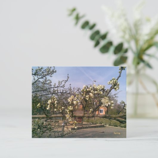 Briefkaart Spring (Staand voorkant)