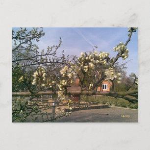 Briefkaart Spring