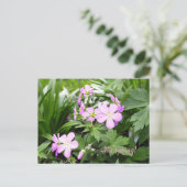 Briefkaart Spring Flowers Wild Geraniums Garden (Staand voorkant)