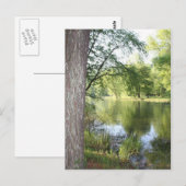 briefkaart "Springtime in East Tennessee" (Voorkant / Achterkant)