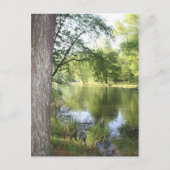 briefkaart "Springtime in East Tennessee" (Voorkant)