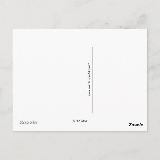 Briefkaart - Springtime-reserverij (Achterkant)