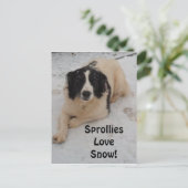 Briefkaart sprollie in de sneeuw (Staand voorkant)
