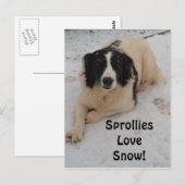 Briefkaart sprollie in de sneeuw (Voorkant / Achterkant)