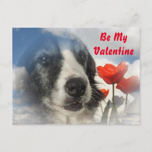 Briefkaart Sprollie Mijn Valentijn (Voorkant)