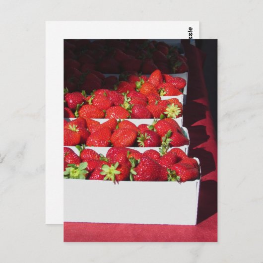 Briefkaart - Srawberry Baskets (vrt) (Voorkant / Achterkant)