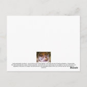 Briefkaart - St. Margherita van Antioch, IT van (Achterkant)