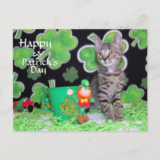 Briefkaart St. Patrick's Day van Patton - Kat / Ke (Voorkant)
