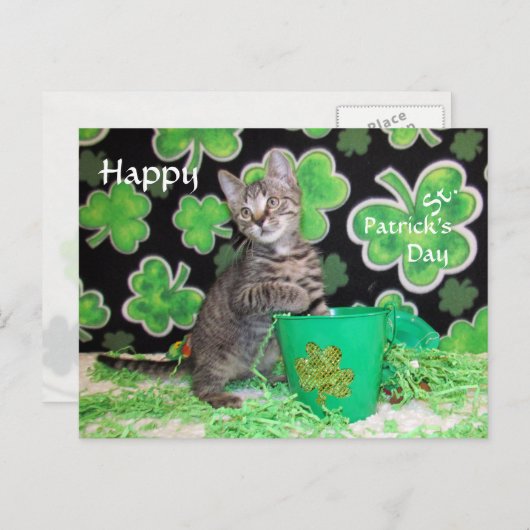 Briefkaart St. Patrick's Day van Patton - Kat / Ke (Voorkant / Achterkant)