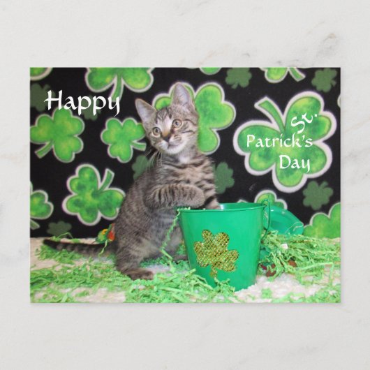 Briefkaart St. Patrick's Day van Patton - Kat / Ke (Voorkant)