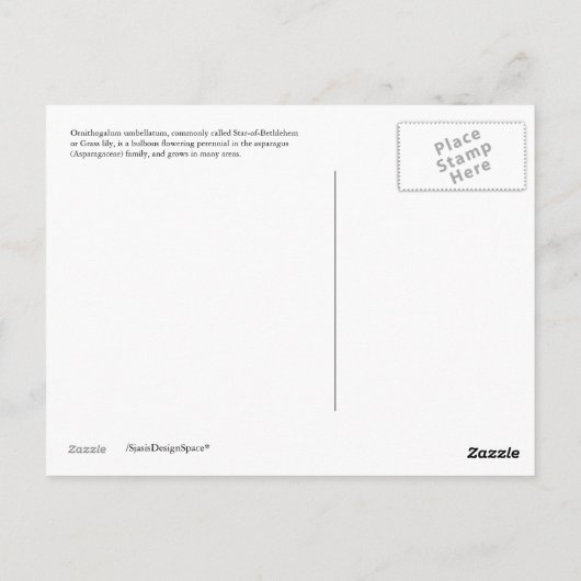 Briefkaart: Star-of-Bethlehem (Bloem) Briefkaart (Achterkant)