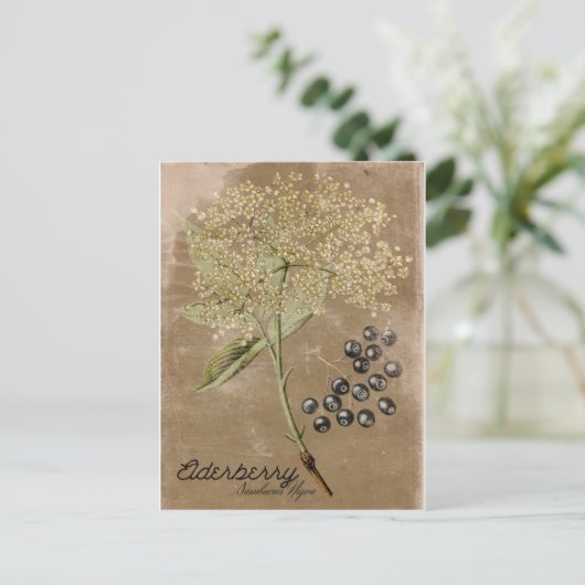 Briefkaart  stijl Elderberry (Staand voorkant)