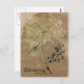 Briefkaart stijl Elderberry (Voorkant / Achterkant)