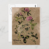 Briefkaart  stijlklap (Voorkant / Achterkant)