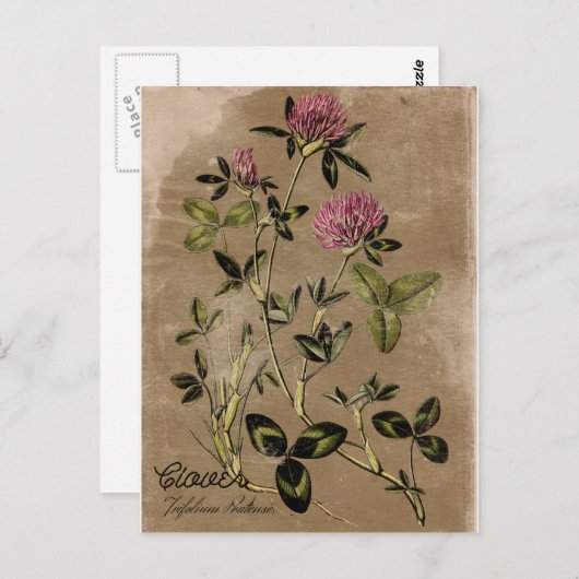 Briefkaart  stijlklap (Voorkant / Achterkant)