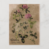 Briefkaart  stijlklap (Voorkant)