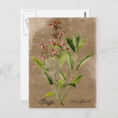 Briefkaart  stijlpagina (Voorkant / Achterkant)