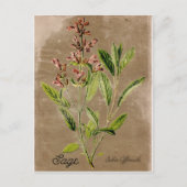 Briefkaart  stijlpagina (Voorkant)