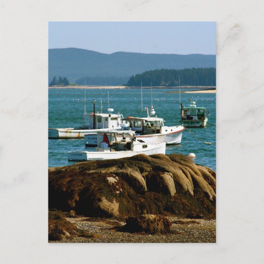 Briefkaart Stonington, Maine (Voorkant)