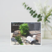 Briefkaart straten Berkeley (Staand voorkant)