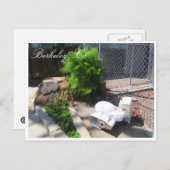 Briefkaart straten Berkeley (Voorkant / Achterkant)