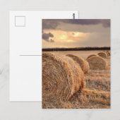 Briefkaart strobalen (Voorkant / Achterkant)